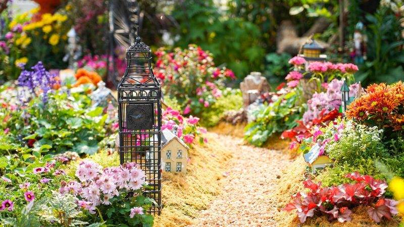 雑草対策で変わる、お手入れしやすい庭づくり